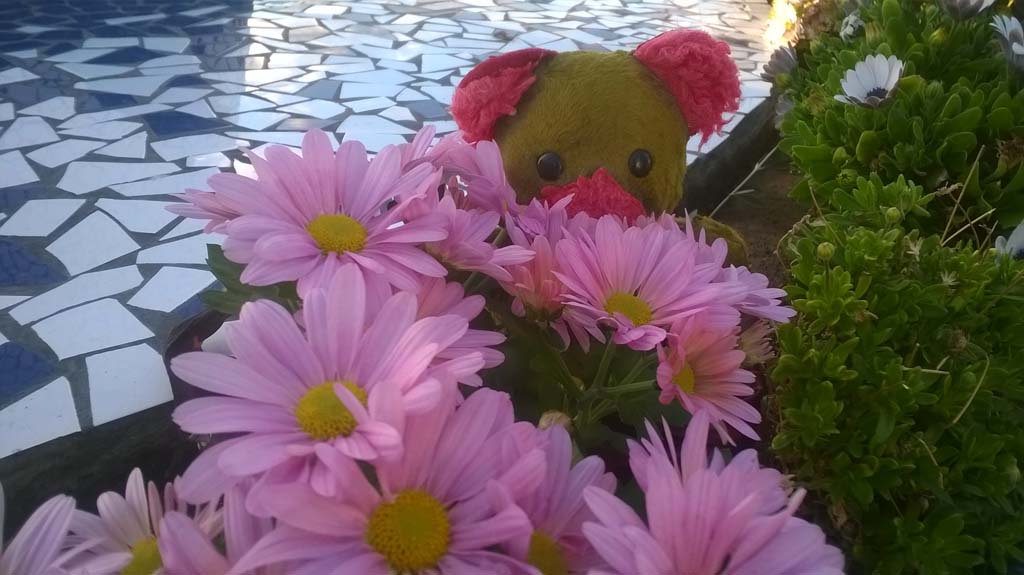  I want to be a pirate!